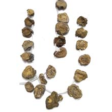 DRUSY AGATE GOLD FAN STICK